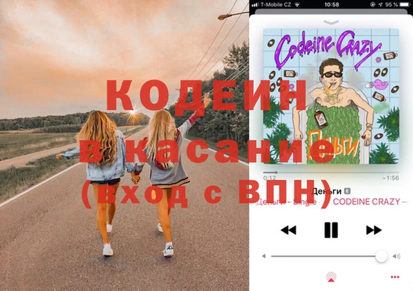 прущие грибы Слюдянка