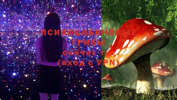 шишки Богданович