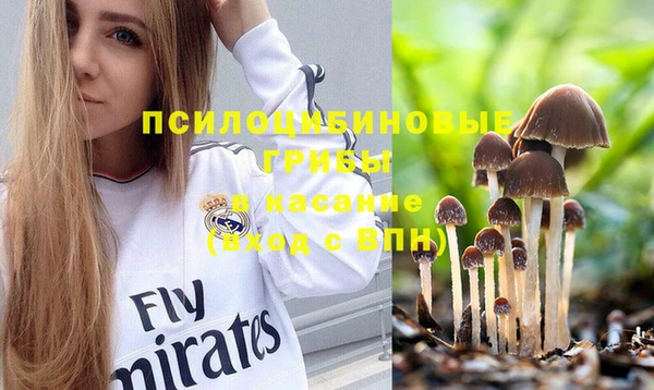 дживик Снежинск