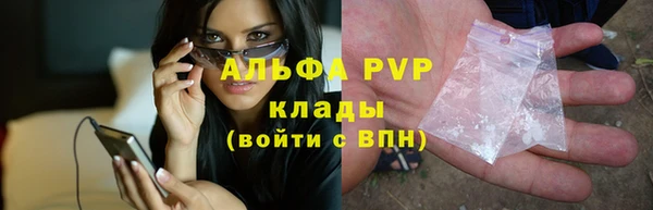 прущие грибы Богородицк