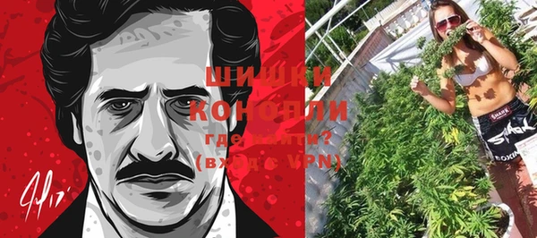 прущие грибы Богородицк