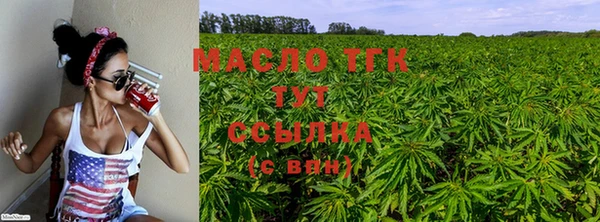 прущие грибы Слюдянка