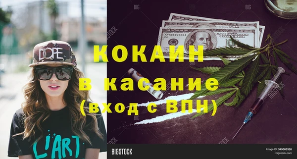 прущие грибы Богородицк