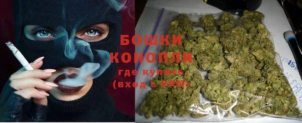 шишки Богданович