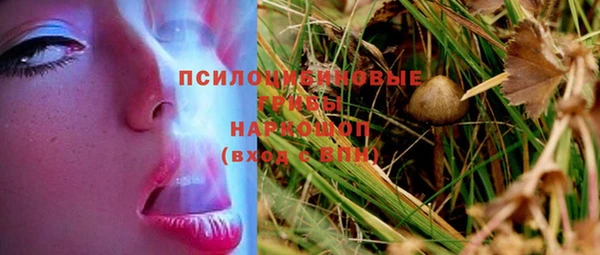 стафф Белокуриха