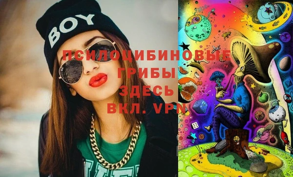 стафф Белокуриха