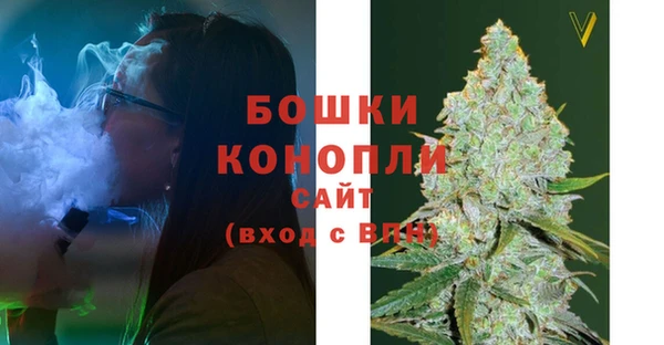 дживик Снежинск