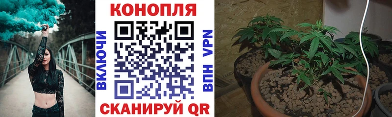 Шишки марихуана AK-47 Горнозаводск